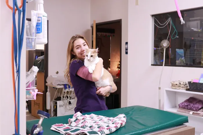 Clear Creek Animal Hospital Picture 9