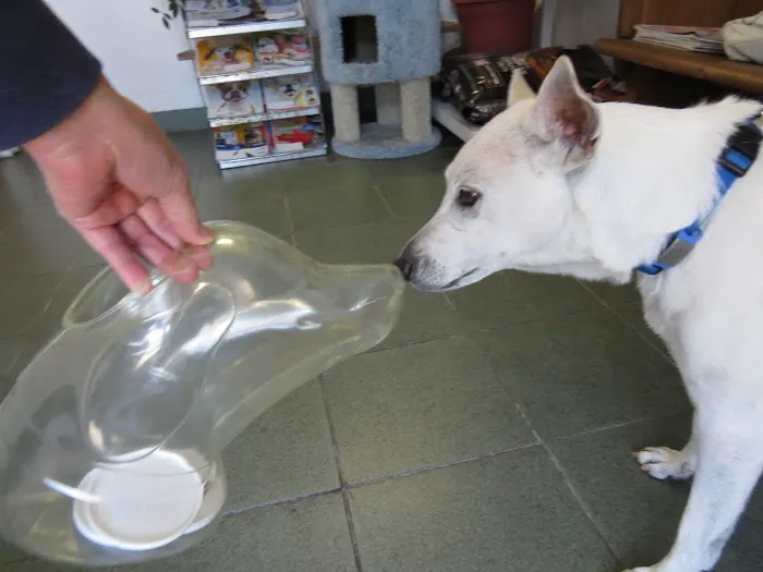 Hillview Pet Hospital Picture 2
