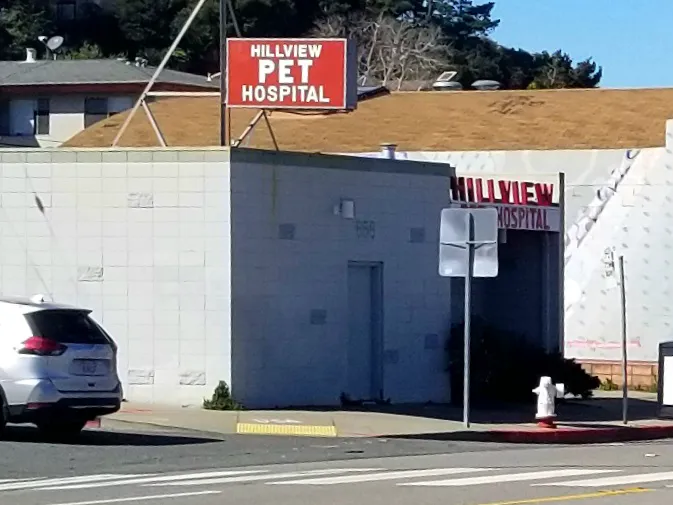 Hillview Pet Hospital Picture 4