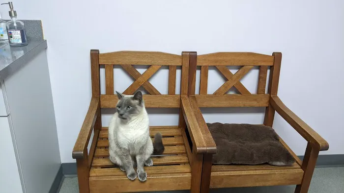 Kensington Veterinary Hospital Picture 4