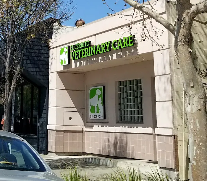 El Cerrito Veterinary Care Picture 1