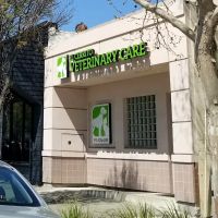 El Cerrito Veterinary Care ico