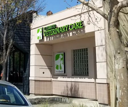 El Cerrito Veterinary Care