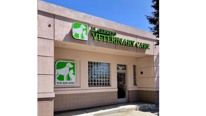 El Cerrito Veterinary Care Picture 2