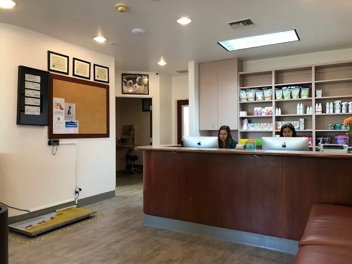 El Cerrito Veterinary Care Picture 3
