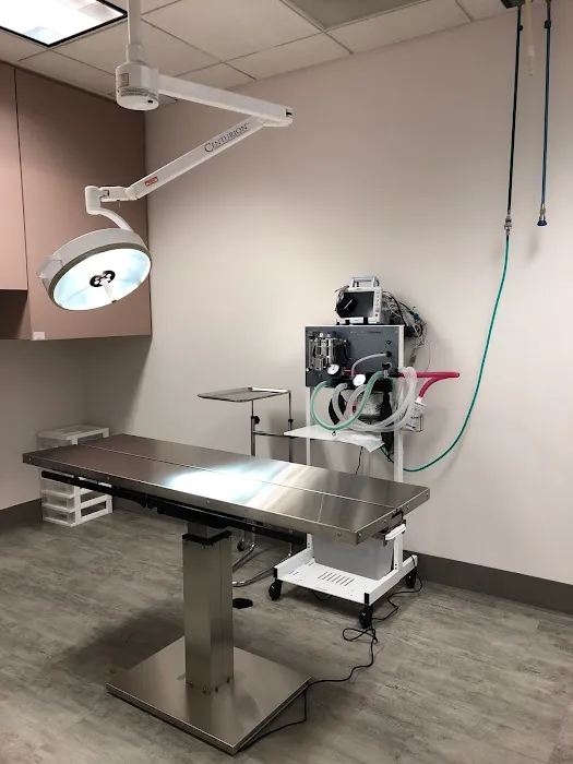 El Cerrito Veterinary Care Picture 8