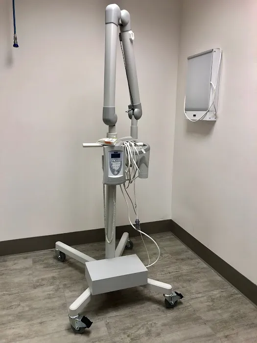El Cerrito Veterinary Care Picture 10