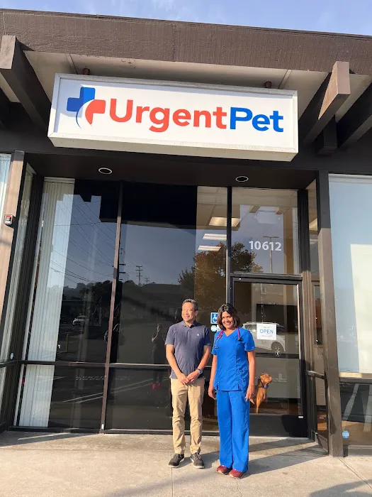 Urgent Pet Picture 3