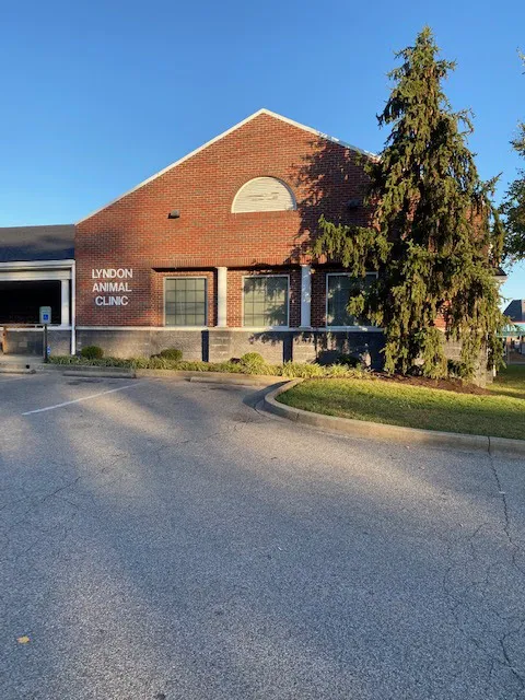 Lyndon Animal Clinic Picture 3