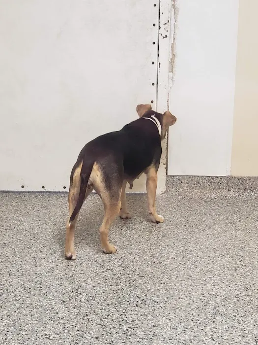 Lyndon Animal Clinic Picture 4
