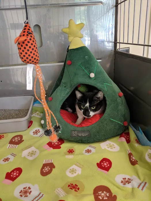 Lyndon Animal Clinic Picture 5