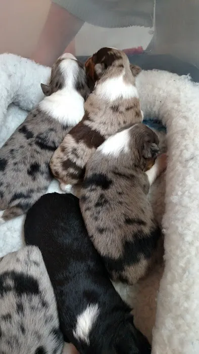 Lyndon Animal Clinic Picture 6
