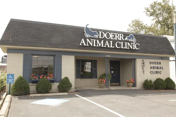 Doerr Animal Clinic Picture 6