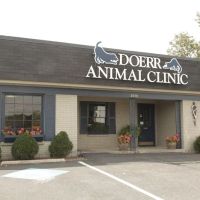 Doerr Animal Clinic ico