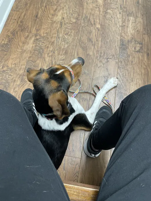 Doerr Animal Clinic Picture 10