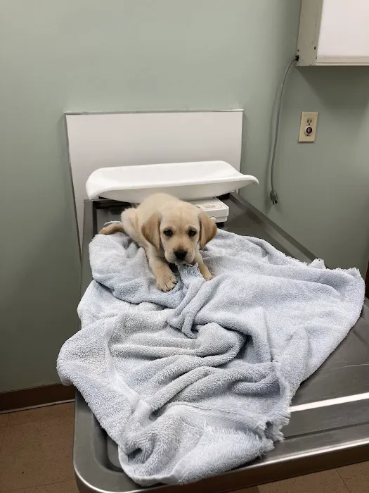 Plantation Animal Clinic Picture 5