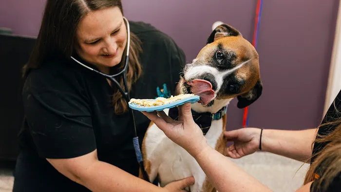 PetVet365 Pet Hospital Louisville / Jeffersontown Picture 2