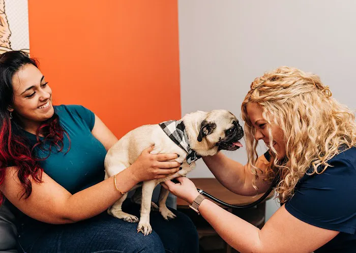 PetVet365 Pet Hospital Louisville / Jeffersontown Picture 3
