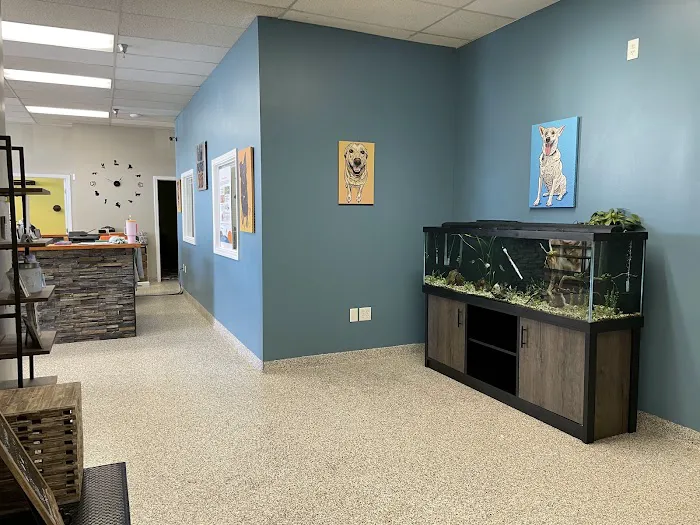 PetVet365 Pet Hospital Louisville / Jeffersontown Picture 4