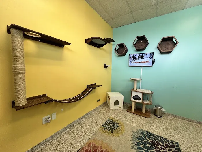 PetVet365 Pet Hospital Louisville / Jeffersontown Picture 7