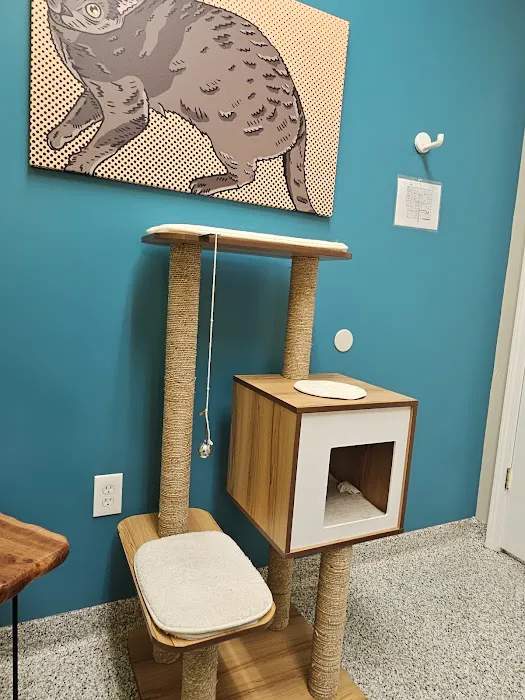 PetVet365 Pet Hospital Louisville / Jeffersontown Picture 8