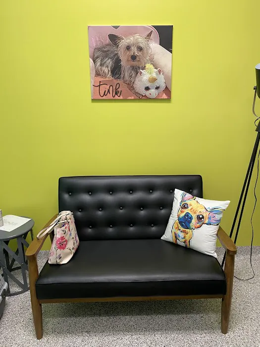 PetVet365 Pet Hospital Louisville / Jeffersontown Picture 10