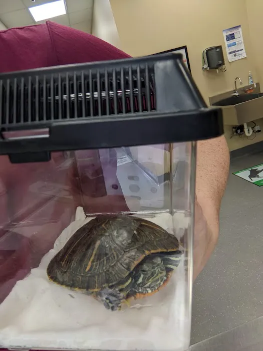 Stony Brook Animal Hospital Picture 4