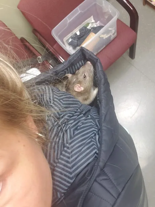 Stony Brook Animal Hospital Picture 6