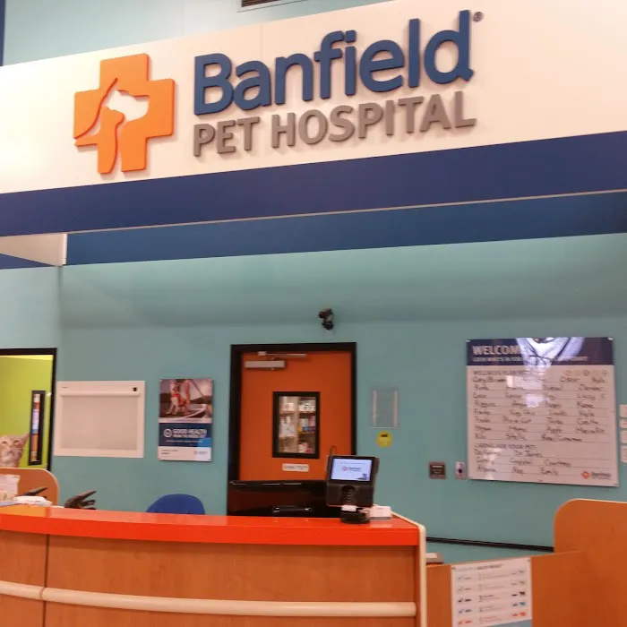 Banfield Pet Hospital Picture 4