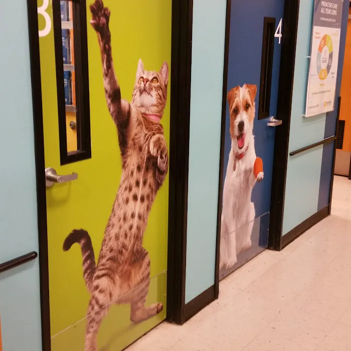 Banfield Pet Hospital Picture 10
