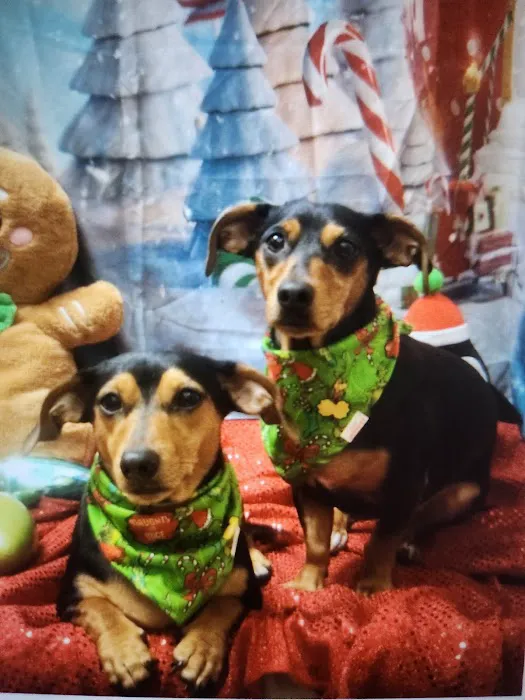 Banfield Pet Hospital Picture 9