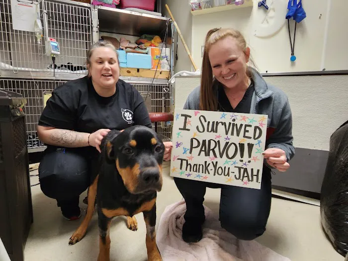 Jefferson Animal Hospital & Regional Emergency Center Picture 9