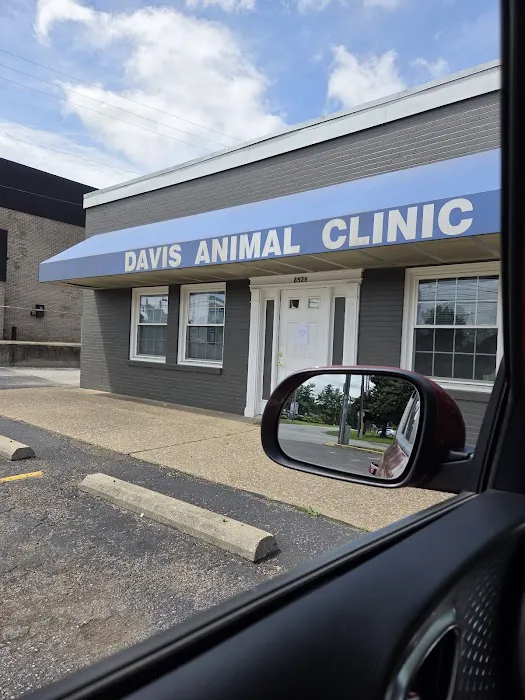 Davis Animal Clinic Picture 7
