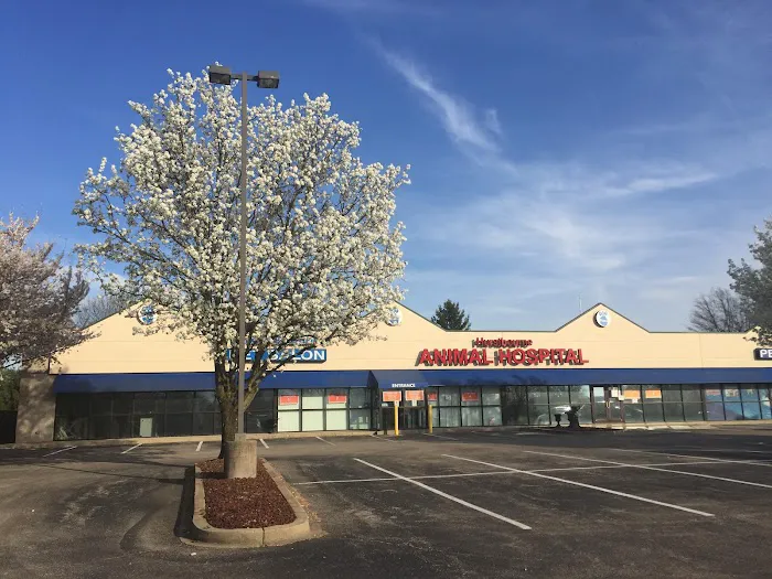 Hurstbourne Animal Hospital Picture 2
