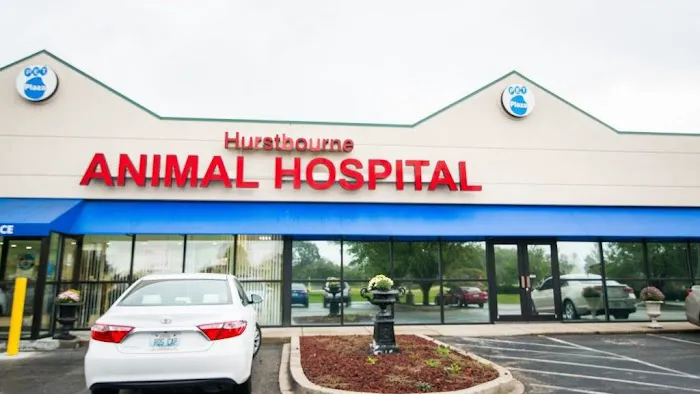 Hurstbourne Animal Hospital Picture 1