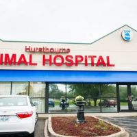 Hurstbourne Animal Hospital ico