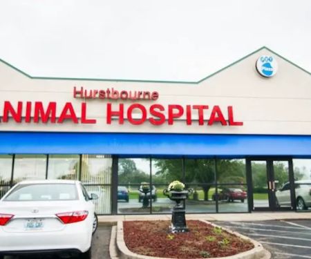 Hurstbourne Animal Hospital