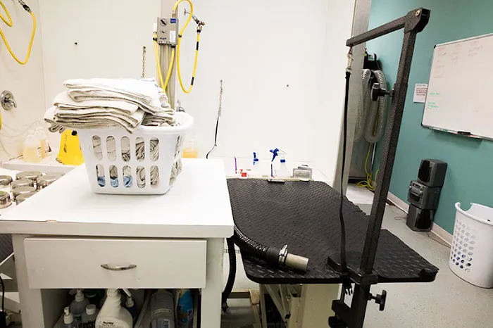 Hurstbourne Animal Hospital Picture 6