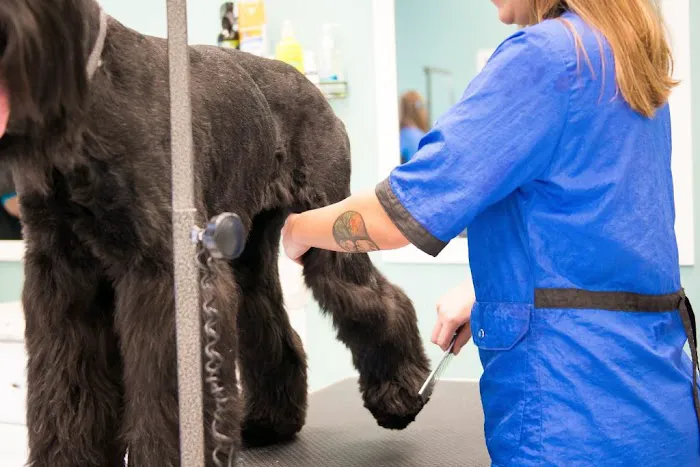 Hurstbourne Animal Hospital Picture 10
