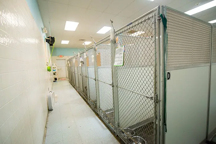 Hurstbourne Animal Hospital Picture 9