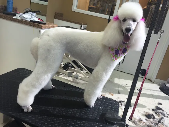 Hurstbourne Animal Hospital Picture 7