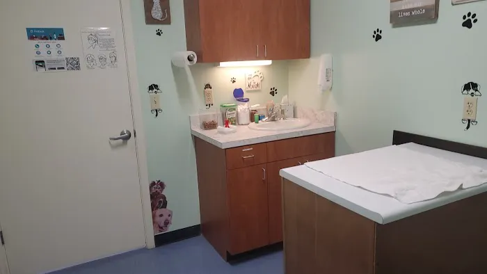Elkins Laura E DVM Picture 2