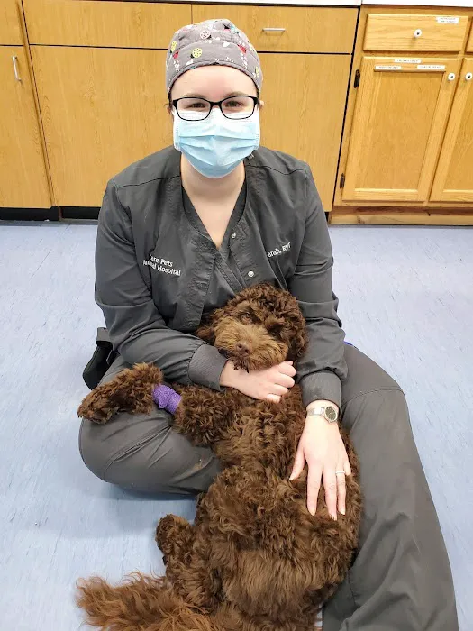 Care-Pets Animal Hospital & Wellness Center Picture 1