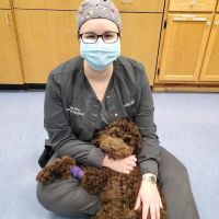 Care-Pets Animal Hospital & Wellness Center ico