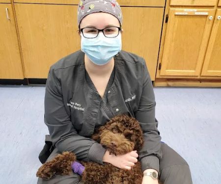 Care-Pets Animal Hospital & Wellness Center