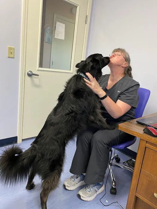 Care-Pets Animal Hospital & Wellness Center Picture 7