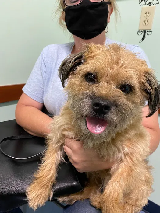 Care-Pets Animal Hospital & Wellness Center Picture 5