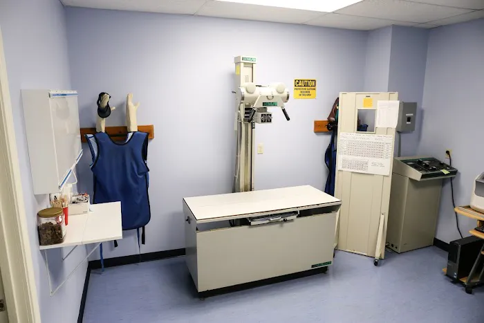 Care-Pets Animal Hospital & Wellness Center Picture 10