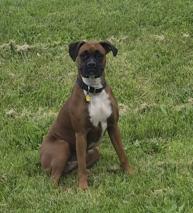 Kentuckiana Veterinary Outreach Picture 4