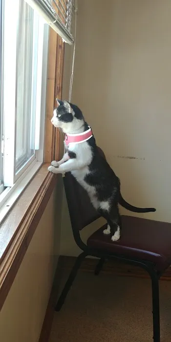 Especially Pets Picture 5